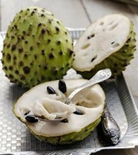 Lannone spinato - Annona