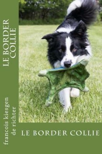 Border collie - le,
