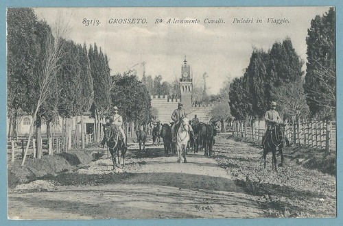 Grosseto cartolina originale - grosseto,
