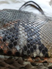 borsa vera pelle di pitone