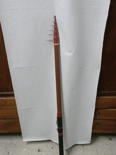 Canna bolognese lerc 50 - lerc, 4.50