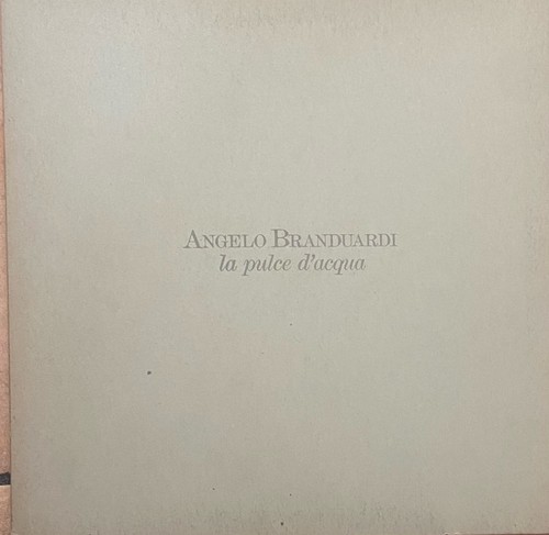 Angelo branduardi la - angelo,