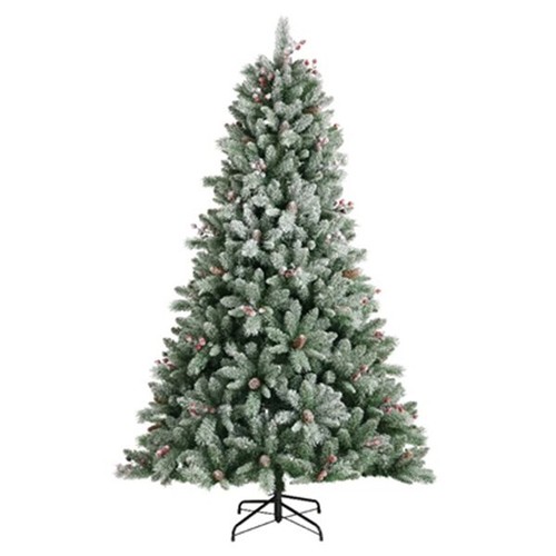 Albero natale arizona in - natale,