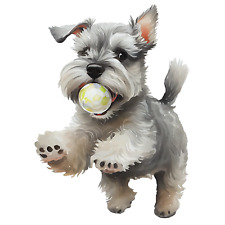 5 adesivi per auto Schnauzer