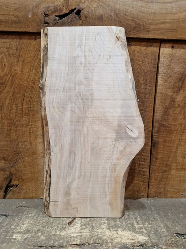 Live edge sycamore - edge, slab