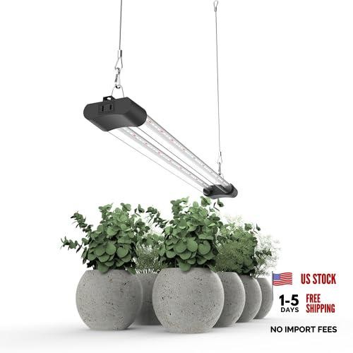 Led grow light - light, spectrum