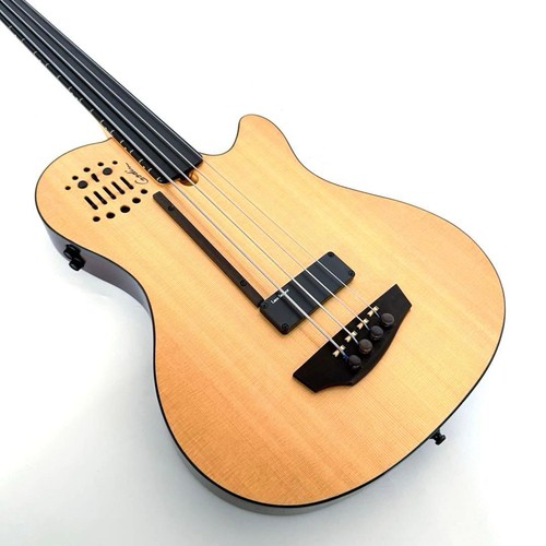 Basso elettrico semi acustico - basso,