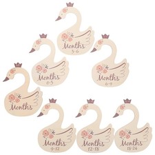  7 Pcs Divisore Armadio