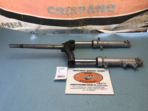 Forcella fork anteriore