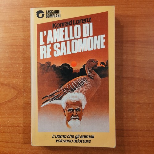 Anello salomone - l'anello,