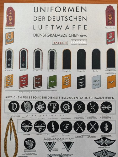 Uniformi della luftwaffe - uniformi,