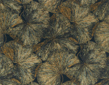 TENDA ZOFFANY TESSUTO DESIGN