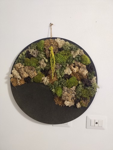 Quadro vegetale con muschio - quadro,