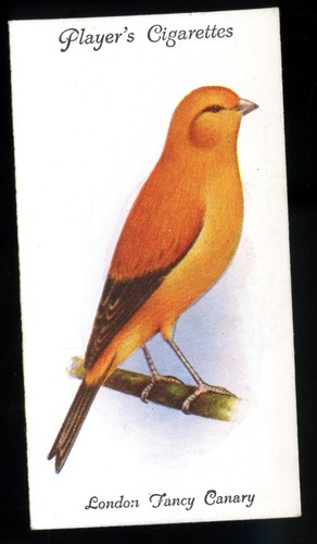 1933 john player sons - 1933,