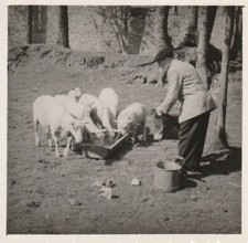 B4 - Foto Photo Fotografia