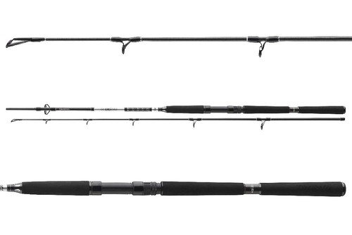 Daiwa offshore boat 210 - bg,