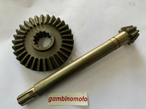 Coppia conica inferiore grillo - conica,