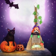 Halloween scopa donna - , ragno