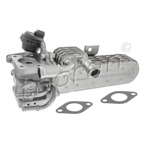 Radiatore ricircolo gas di - 1,