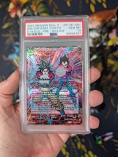 SS4 Goku & SS4 Vegeta, In It