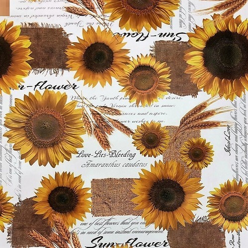 Tela cerata tovaglia - tela, girasole
