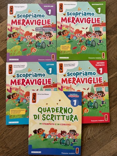 Set libri scolastici - libri,