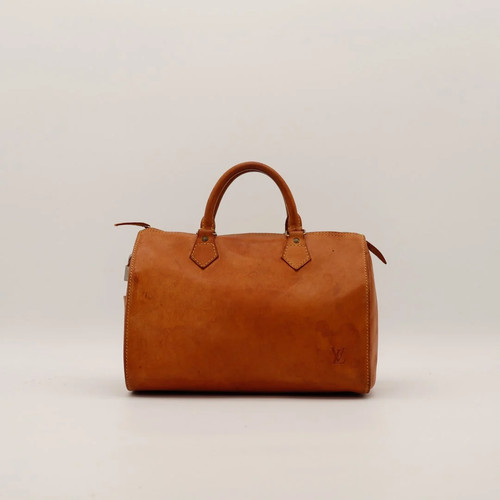Sac main louis vuitton - main,