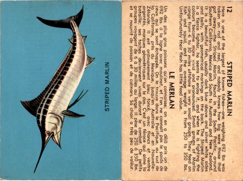 V339 parkhurst fish 1962 - fish,,