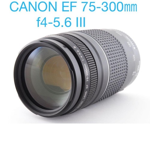 Canon 300 5 6 - 75-300, iii