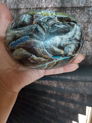 Pietra dipinta mano - a,