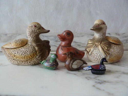 Papere anatre pezzi da - papere,