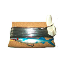 PARATURA TRAINA A MANO DA