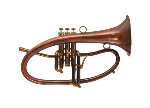 Taylor flicorno soprano phat - taylor,