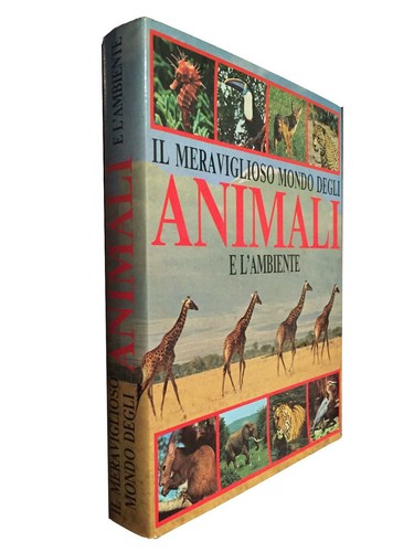 Il meraviglioso mondo - aa.vv.,