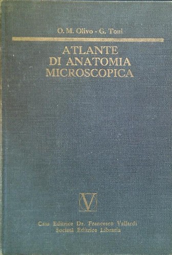Atlante anatomia - atlante,