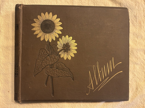 Antico album vittoriano - , dorato