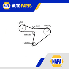 Cinghia distribuzione adatta