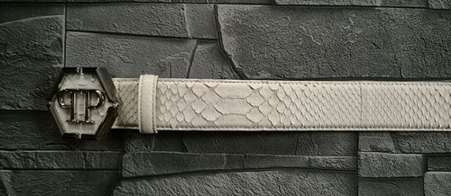 Philipp plein belt matt - philipp,