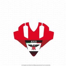 Adesivi carene cupolino –