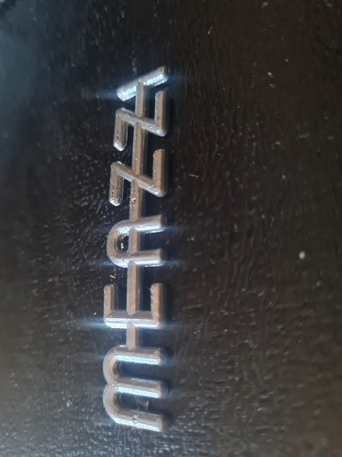 Logo meazzi hollywood per - hollywood,