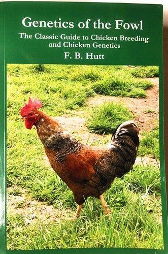 Genetics the fowl - :,