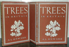 TREES in BRITAIN: Alexander