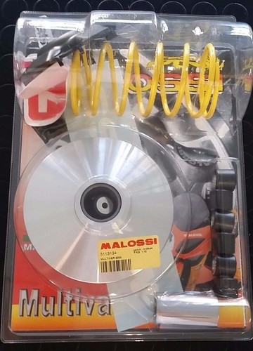 Variatore malossi multivar - malossi,