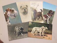 15 cartoline originali anche viaggiate ANIMALI CANI GATTI CAVALLI (276)
