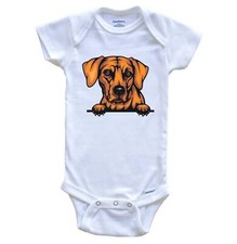 Rhodesian Ridgeback Dog Breed