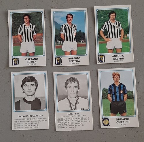 Lotto figurine panini - lotto,
