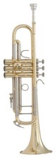 Vincent Bach Bb tromba corpo