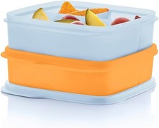 Tupperware Lunch-It Portion &