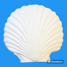 Gessetto CONCHIGLIA gessetti