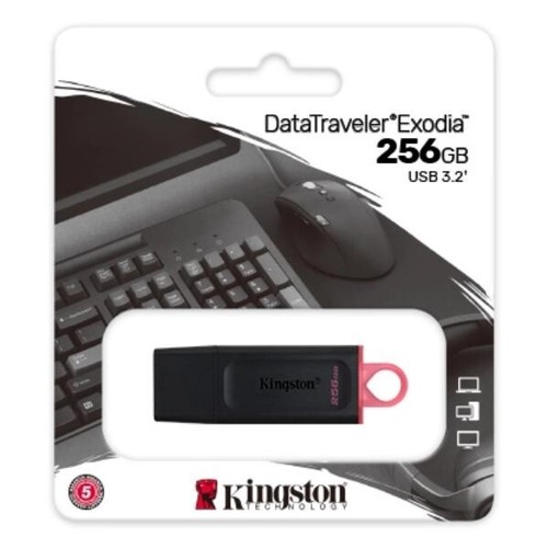 Pendrive usb gen 1 256gb - usb,